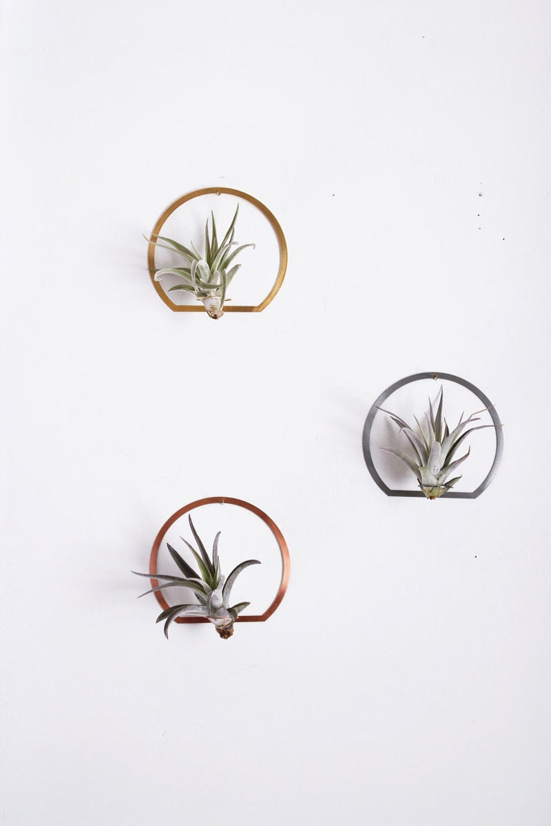 wall mounted air plant holder Arch Frame Air Plant Wall Holder – Pauline Stanley Studio + Rare Bird Co