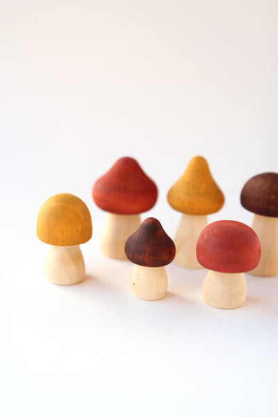 Hand Painted Wooden Mushrooms | Mushroom Decor | Minimalist Decor | Nature Decor | Cottagecore Decor| DIY Kit | Craft Kit