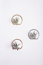 Load image into Gallery viewer, Arch Frame Air Plant Wall Holder