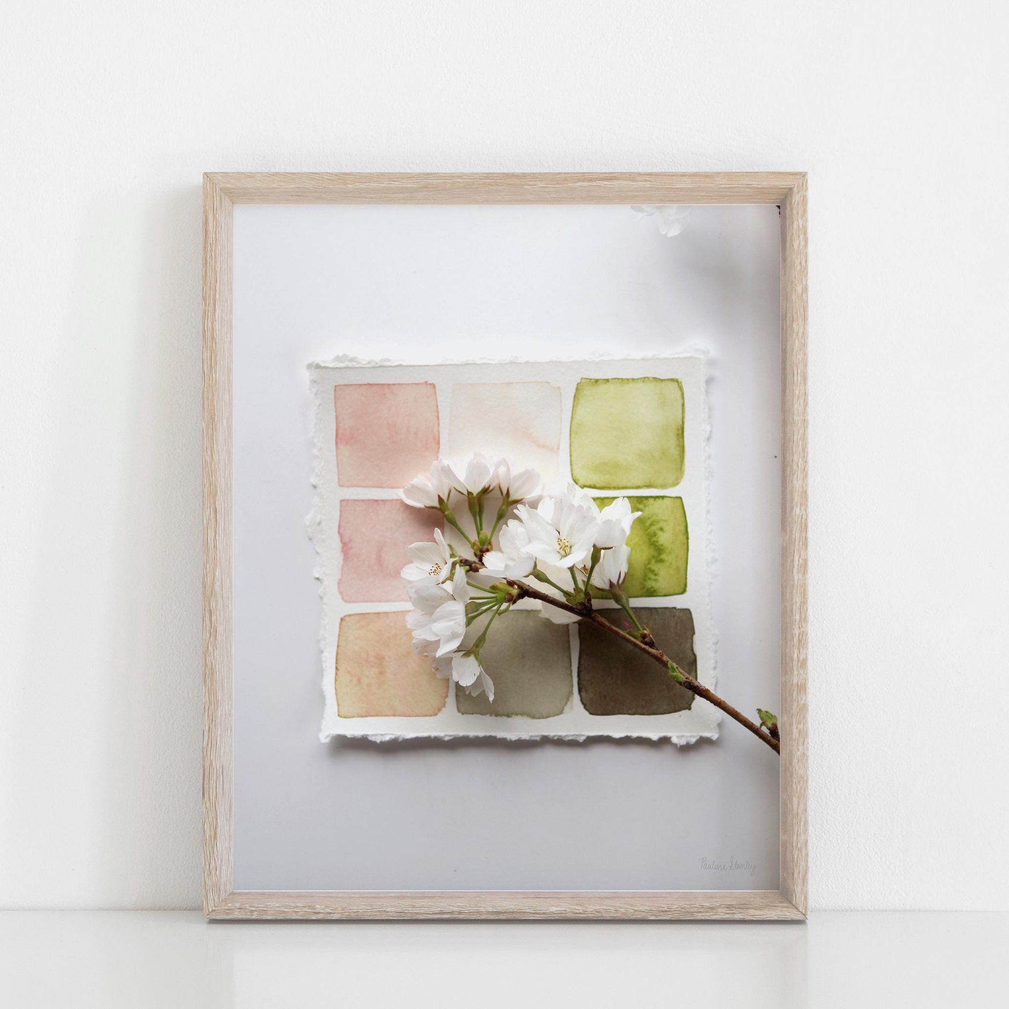 Cherry Blossom Swatches Wall Art Print | Modern Art | Minimalist Art | Nature Art | Watercolor Art | Photography Art 5x7 8x10 11x14