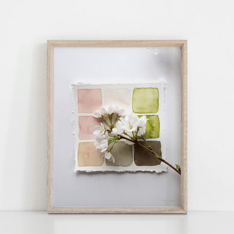 Cherry Blossom Swatches Wall Art Print | Modern Art | Minimalist Art | Nature Art | Watercolor Art | Photography Art 5x7 8x10 11x14