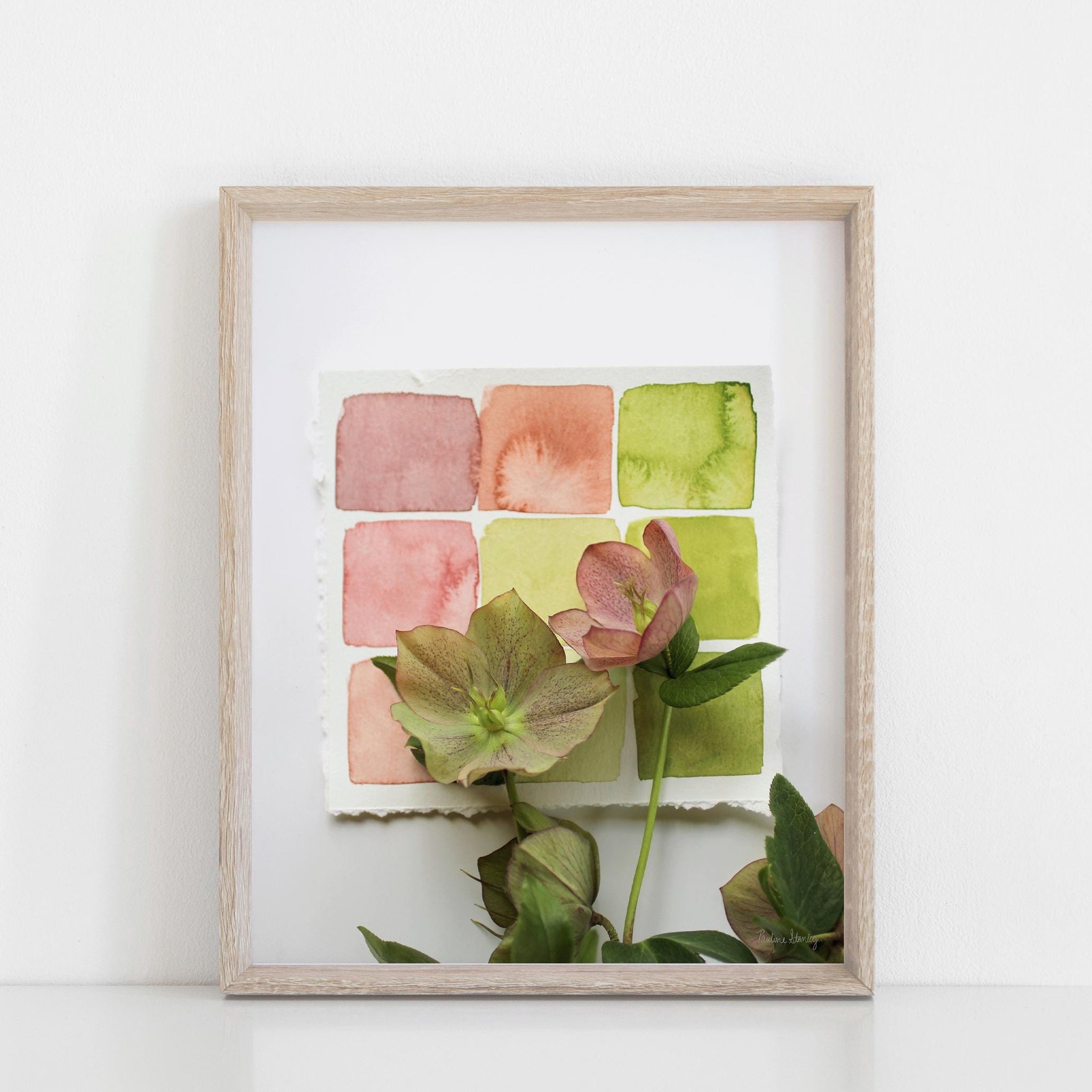 Hellebores Swatches Wall Art Print | Modern Art | Minimalist Art | Nature Art | Watercolor Art | Photography Art 5x7 8x10 11x14