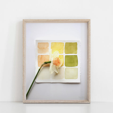 Daffodil Swatches Wall Art Print | Modern Art | Minimalist Art | Nature Art | Watercolor Art | Photography Art 5x7 8x10 11x14