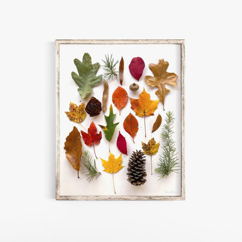 Autumn Leaves Photography Wall Art Print | Modern Art | Minimalist Art | Nature Art | Leaves Art | Photography Art 5x7 8x10 11x14