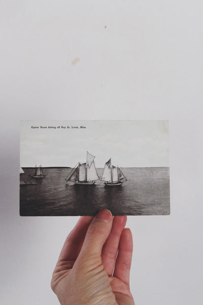 Vintage Postcard with Framing Options Zion Florida Rockies | Sold Individually