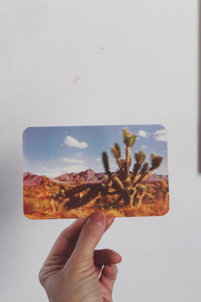 Vintage Postcard with Framing Options Zion Florida Rockies | Sold Individually