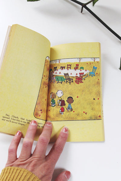 Vintage Peanuts Books Puzzle Collection