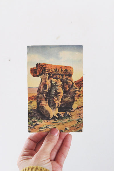 Vintage Postcard with Framing Options Yellowstone Chicago | Sold Individually