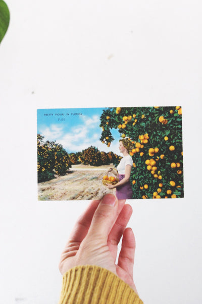 Vintage Postcard with Framing Options Zion Florida Rockies | Sold Individually