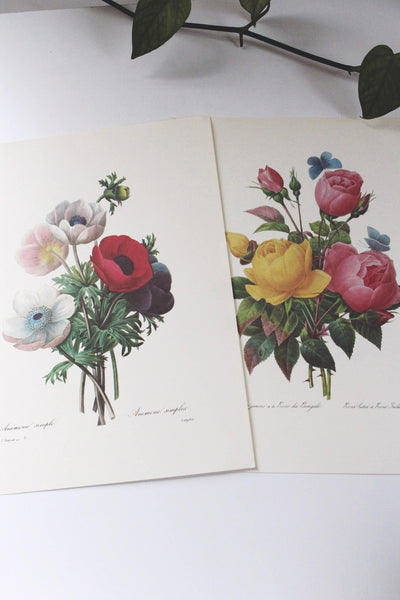 Vintage P. J. Redoute Book Plates Flora Bouquets Prints | Sold Individually