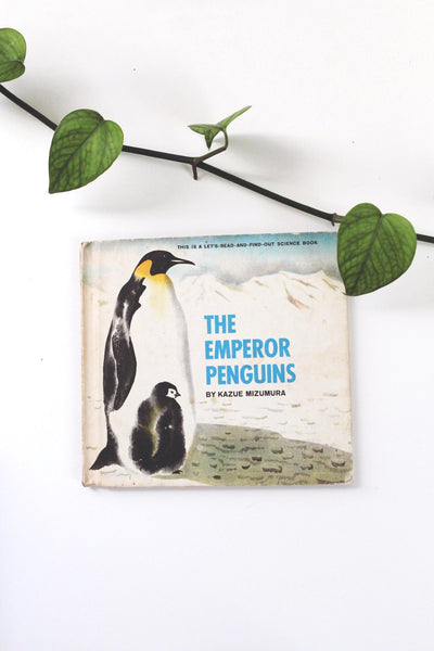 Vintage Children's Books Dinosaurs Starfish Caves Ladybug Honeybees | Sold Individually