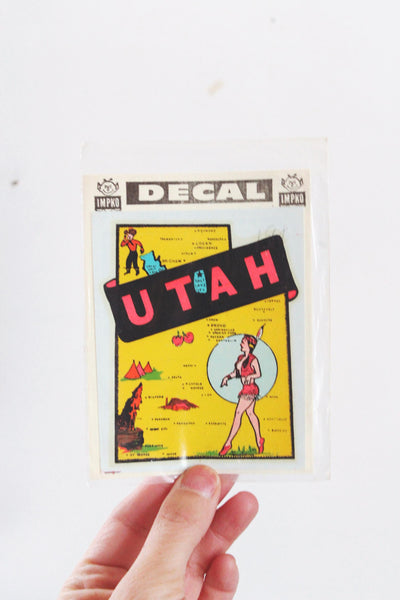 Vintage State Decal with Framing Options Georgia Utah New York