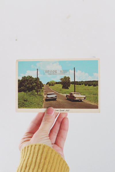 Vintage Postcard with Framing Options Skyline Drive Cape Cod | Sold Individually