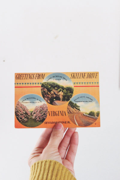 Vintage Postcard with Framing Options Skyline Drive Cape Cod | Sold Individually