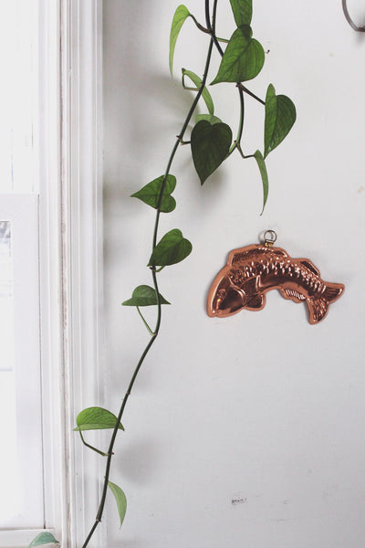 Vintage Copper Fish Wall Hanging Mold