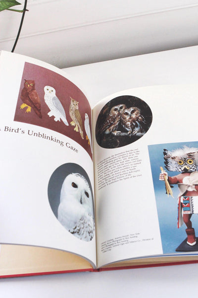 The Magic of Owls by Jozefa Stuart Vintage Book