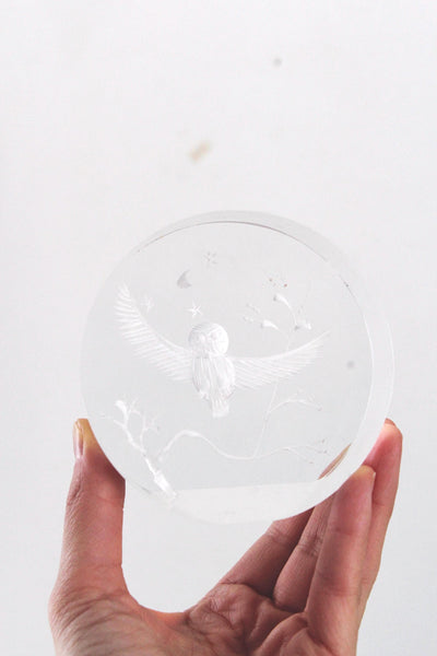 Vintage Reverse-Carved Acrylic Lucite Owl Paperweight
