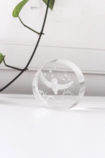Vintage Reverse-Carved Acrylic Lucite Owl Paperweight