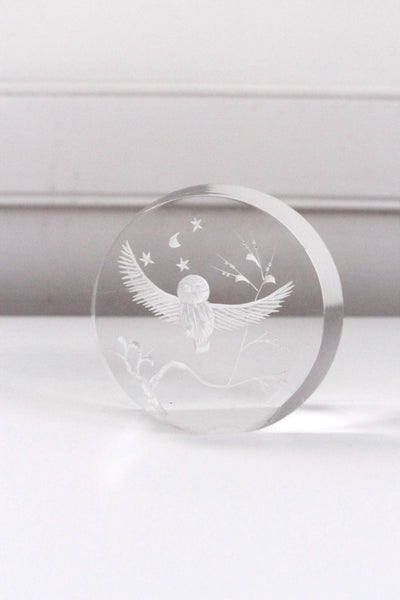 Vintage Reverse-Carved Acrylic Lucite Owl Paperweight