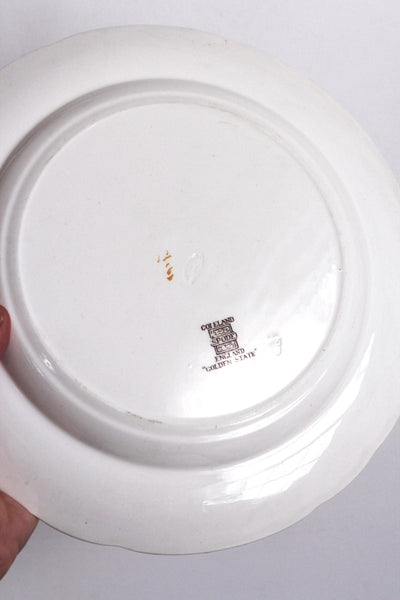 Vintage Golden State Pattern by Copeland Spode Dinnerware Set Plates England | Sold Individually