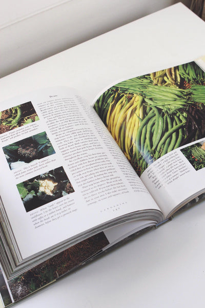 Martha Stewart's Gardening Month by Month Vintage Hardcover Book 1991 First Edition