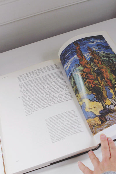 Van Gogh: A Documentary Biography by Abraham Marie Hammacher and Renilde Hammacher Vintage Book