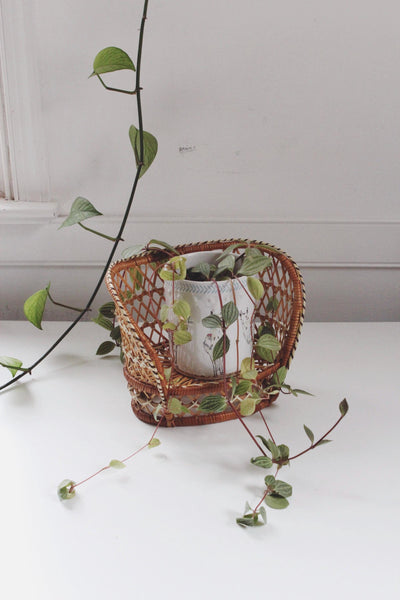 Vintage Miniature Wicker Rattan Peacock Chair Loveseat - Plant Stand, Doll Display, Boho Cottagecore Decor