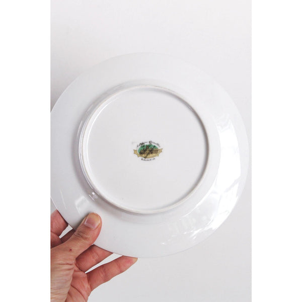Vintage Floral Porcelain Salad Plates With Gold Trim - Set Of 8 - Black Pink & Blue Rose Design, Bavaria