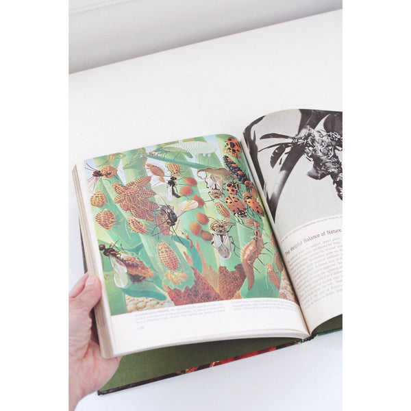 Time-Life Nature Library Book Collection - 24-Volume Set Hardcover - Mid Century 1960s