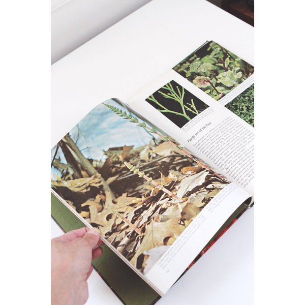 Time-Life Nature Library Book Collection - 24-Volume Set Hardcover - Mid Century 1960s