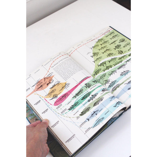 Time-Life Nature Library Book Collection - 24-Volume Set Hardcover - Mid Century 1960s