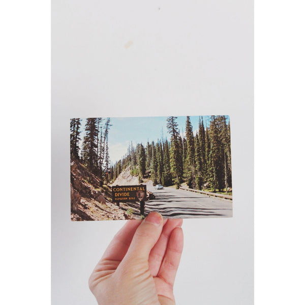 Vintage Continental Divide Yellowstone Postcard - 1970s Elevation 8262 Photo By Laura Dexter