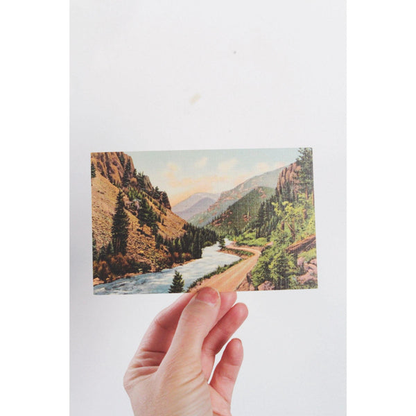 Vintage Rocky Mountains Postcard - Through The Pines And Cliffs - By C.T. Art-Colortone