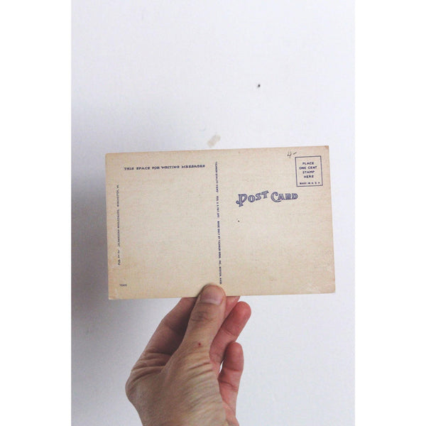 Vintage Virginia Postcard Skyline Drive Shenandoah National Park Linen 1940s Unused Made In USA