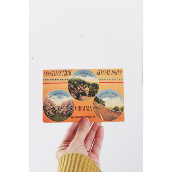 Vintage Virginia Postcard Skyline Drive Shenandoah National Park Linen 1940s Unused Made In USA