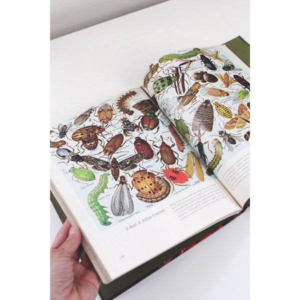 Time-Life Nature Library Book Collection - 24-Volume Set Hardcover - Mid Century 1960s