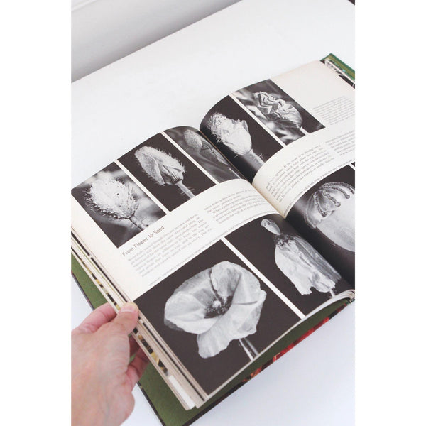 Time-Life Nature Library Book Collection - 24-Volume Set Hardcover - Mid Century 1960s