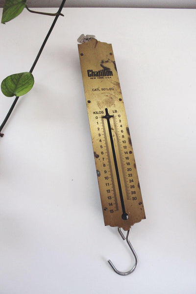 Antique Chatillon Hanging Spring Scale Brass CATL 50 EG Vintage New York Industrial