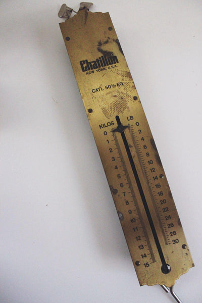 Antique Chatillon Hanging Spring Scale Brass CATL 50 EG Vintage New York Industrial