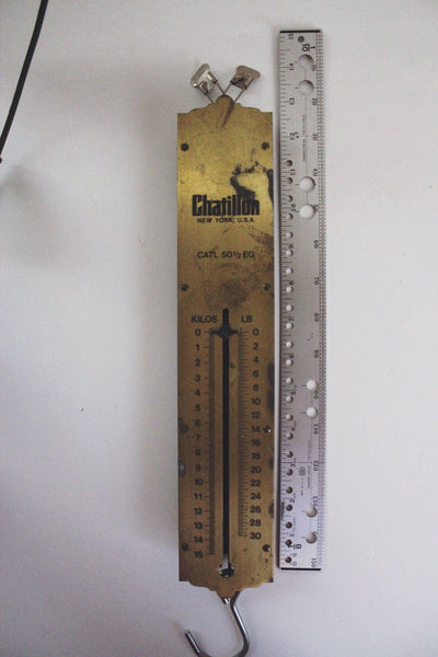 Antique Chatillon Hanging Spring Scale Brass CATL 50 EG Vintage New York Industrial