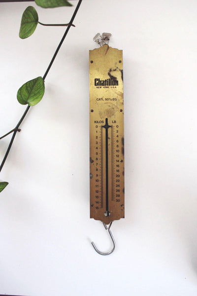 Antique Chatillon Hanging Spring Scale Brass CATL 50 EG Vintage New York Industrial
