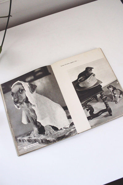 Cats Cradle Ron Spillman Jack Ramsay Vintage Hardcover Book Humor Photography