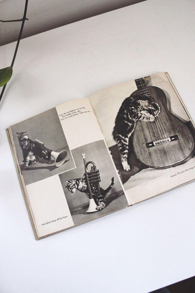 Cats Cradle Ron Spillman Jack Ramsay Vintage Hardcover Book Humor Photography