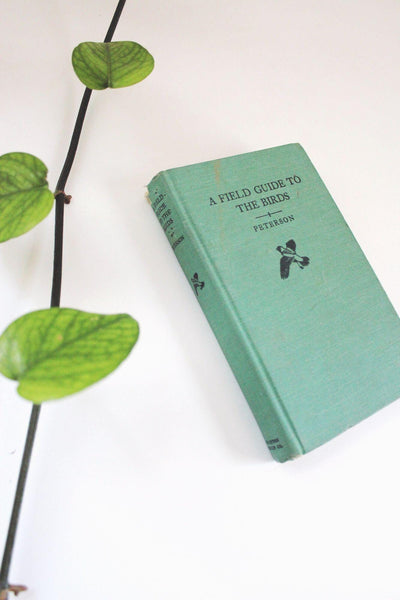 A Field Guide To The Birds By Peterson Vintage Hardcover Book 43rd Printing Ornithology Reference