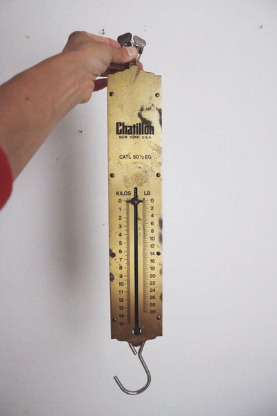 Antique Chatillon Hanging Spring Scale Brass CATL 50 EG Vintage New York Industrial
