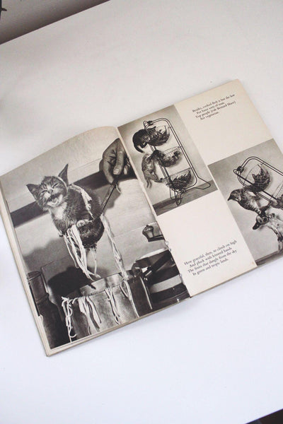 Cats Cradle Ron Spillman Jack Ramsay Vintage Hardcover Book Humor Photography