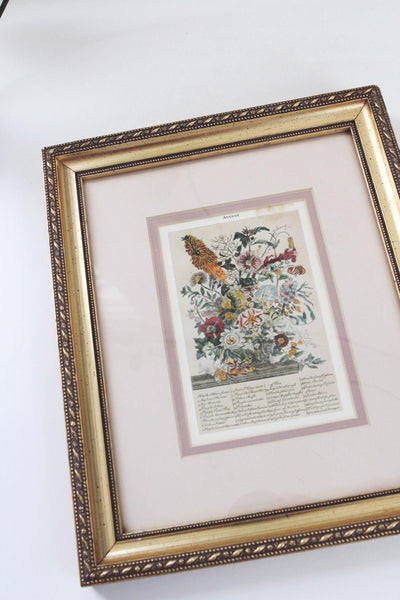 Vintage Framed Botanical Print Twelve Months of Flowers August Wall Art Cottagecore