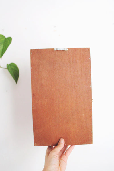 Vintage Wooden Storage Cabinet Display Trinket Shelf - Handmade, Glass Front, Rustic