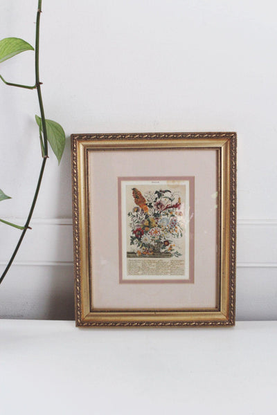 Vintage Framed Botanical Print Twelve Months of Flowers August Wall Art Cottagecore