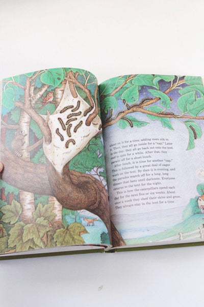 The Bug Book By Childcraft 1981 Annual Hardcover Illustrated Vintage Nature Guide